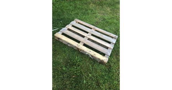 Pallet 100x120