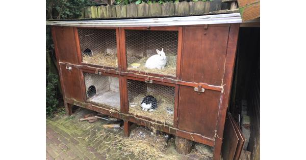 Houten konijnenhotel / konijnenhok