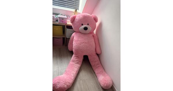 Grote knuffelbeer