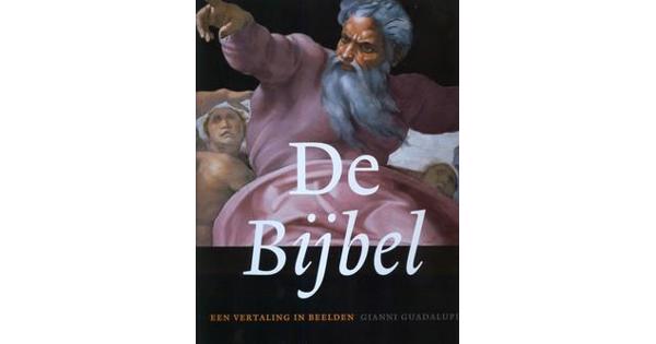 Boek: De Bijbel. Een vertaling in beelden