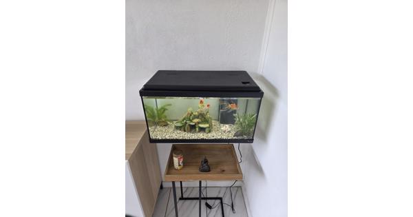 Aquarium