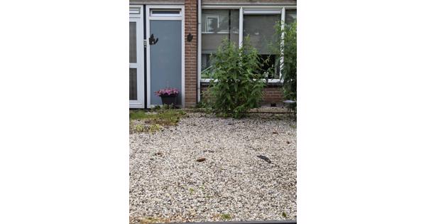Grind steentjes