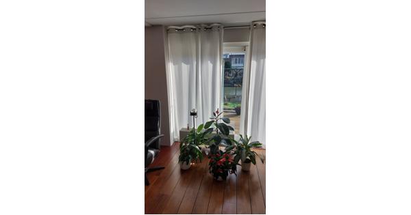 6x Witte gordijndelen