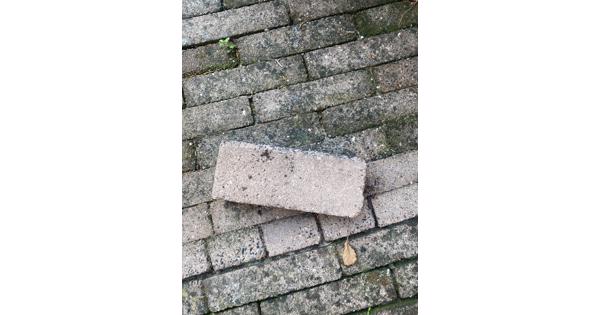 Terrasstenen (waaltjes)