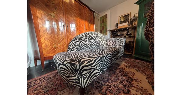 Zwart witte zebrabank