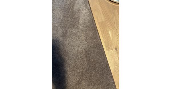 Vloekleed donkerbruin 240 x 300 cm