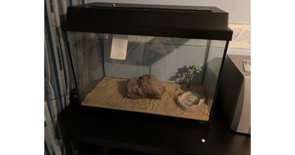 aquarium/terrarium