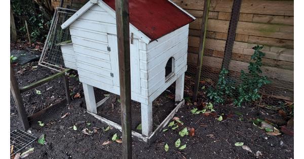 Wie wil er een kippenhok