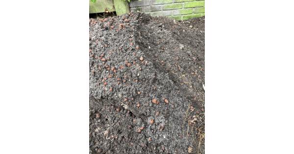 Ophooggrond met enkele kleikorrels