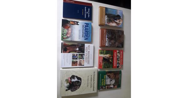 Honden, paarden en katten Encyclopedie + glas in lood boek