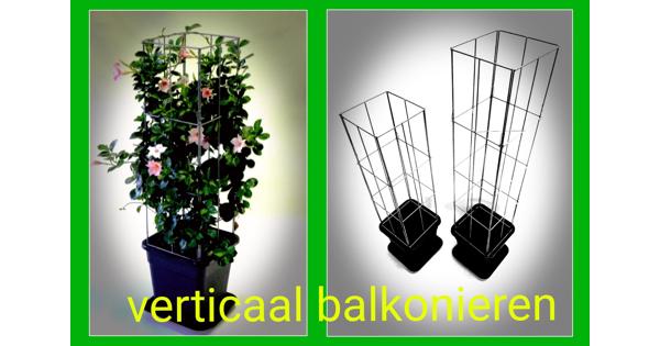 PLANTREKKEN voor clematis druiven tomaten 