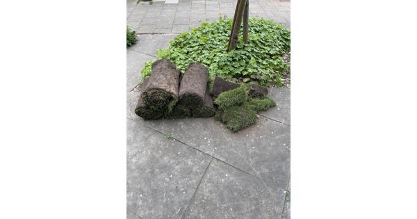 Ongeveer 5 m2 graszoden