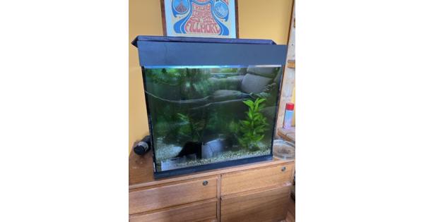 Juwel lido 120 aquarium