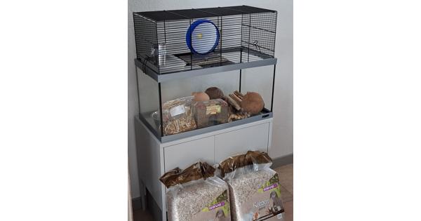 dwerghamster/hamster inrichting en voer