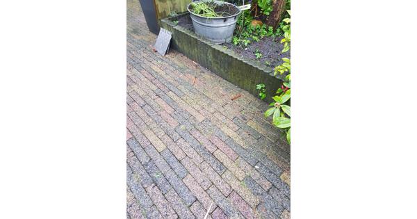Bont gekleurde waaltjes en betonnen borders