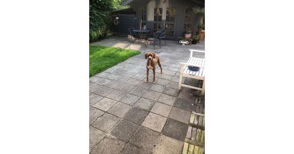 70 m2 betontegels 30x30