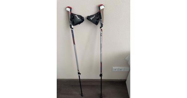 Nordic walking