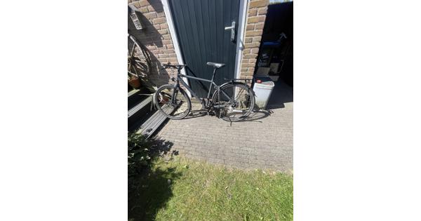 focus fiets met carbon belt