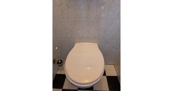 Toilet wit glanzend