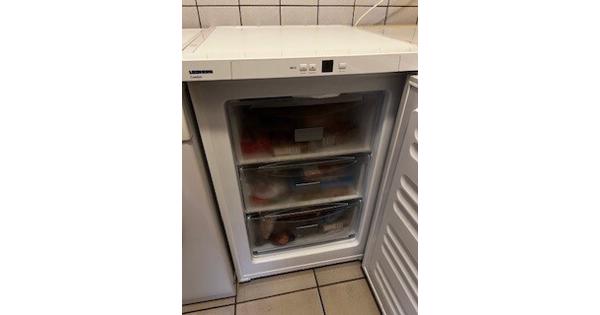 Diepvrieskast Liebherr