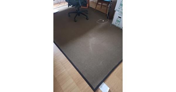 Vloerkleed 200 x 300 cm Sisal Ikea Egeby