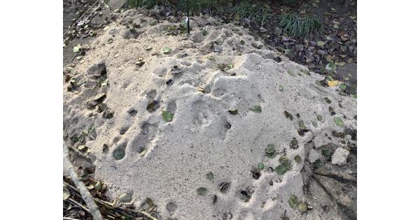 Zand afhalen in Sliedrecht 