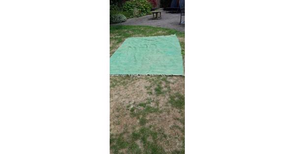 Vloerkleed lichtgroene tint 