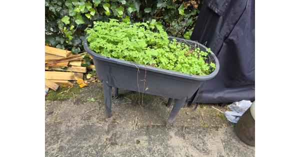 Planten kweekbak op poten incl deksel