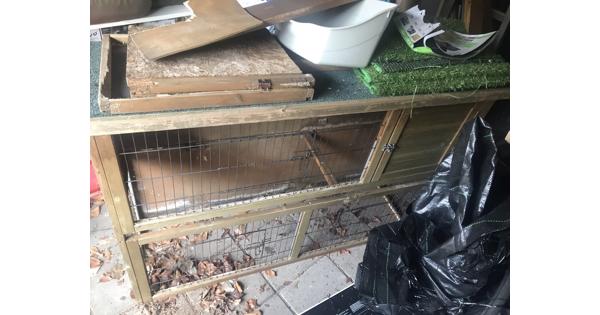 Konijnenhok en buitenren