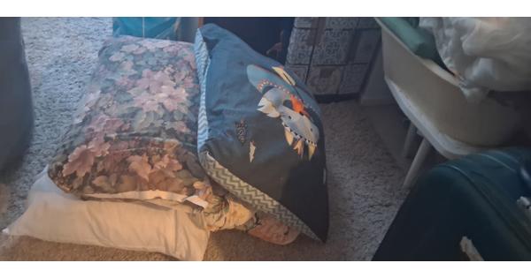 4 gratis kussens ophalen Houtwijk /Dekkershoek /Den -haag .