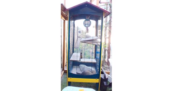 Grote vintage kooi voor vogels of fretten