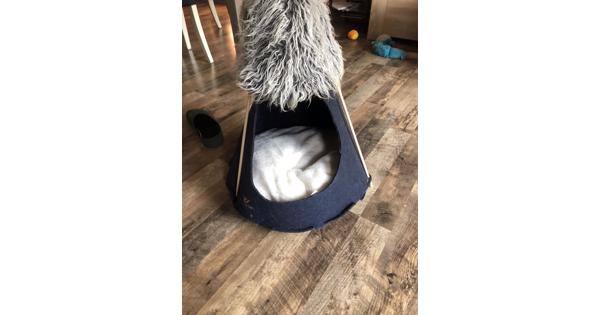 Tipi tent voor kat of kleine hond