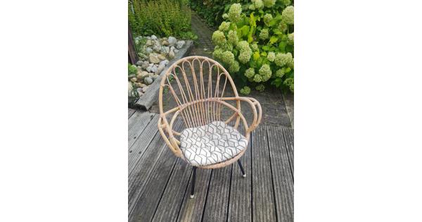 Rotan stoelen 2x