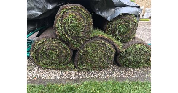 Graszoden 4,5 stuks gratis af te halen