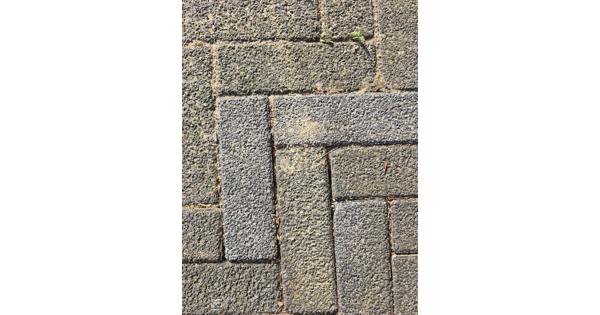 Gratis af te halen: 30m2 gebruikte betonnen klinkers