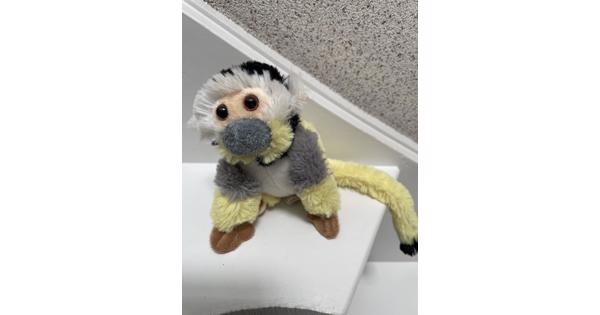 Schattig aapje van de Apenheul. Hoogte ca.15 cm. 
