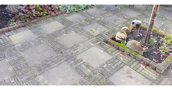 Ongeveer 65 m2 straatwerk