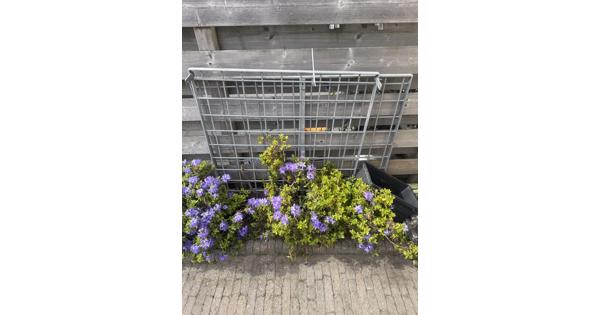 Gegalvaniseerd hekjes