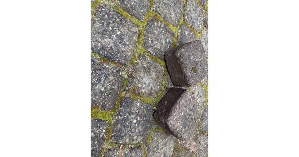 Betontegel 11x11x6  24m2