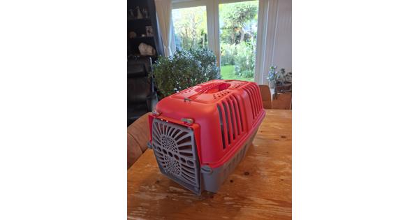 Katten vevoer