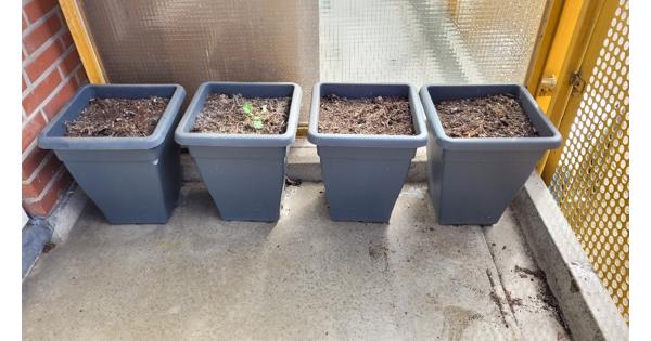 Plastic plantenbakken