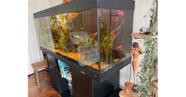 Aquarium juwel rio 400