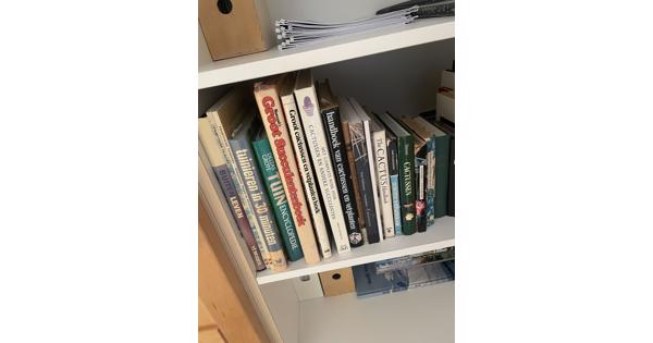 Cactusboek(en) + plantjes