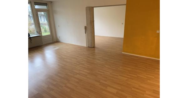 Laminaatvloer beuken 60 m2 plus een nieuw pak en plinten