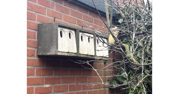 Drie mussenkasten van woodstone materiaal