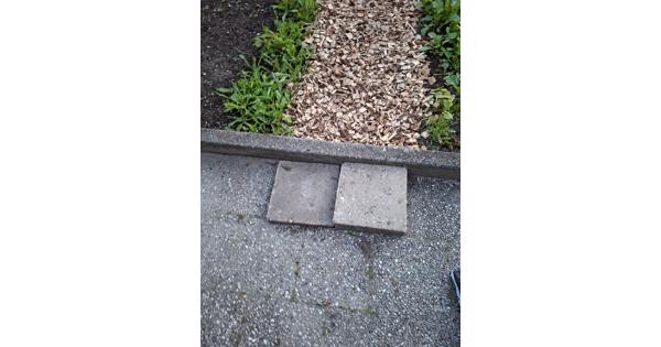 Gratis diverse tegels