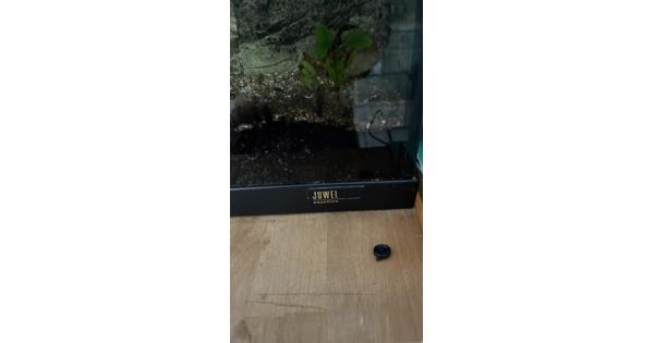 Leeg Aquarium