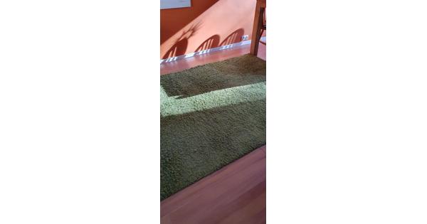 Tapijt Groen