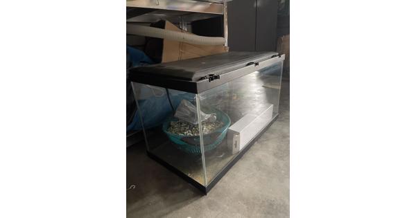 Vissenkom compleet 60x30x30cm