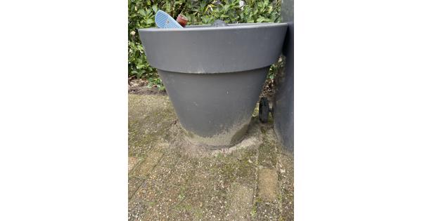 Grote grijze Elho pot met inhoud ( aarde en hydrokorrels